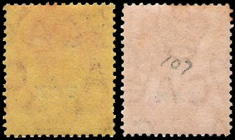 Turks & Cicos Wartax