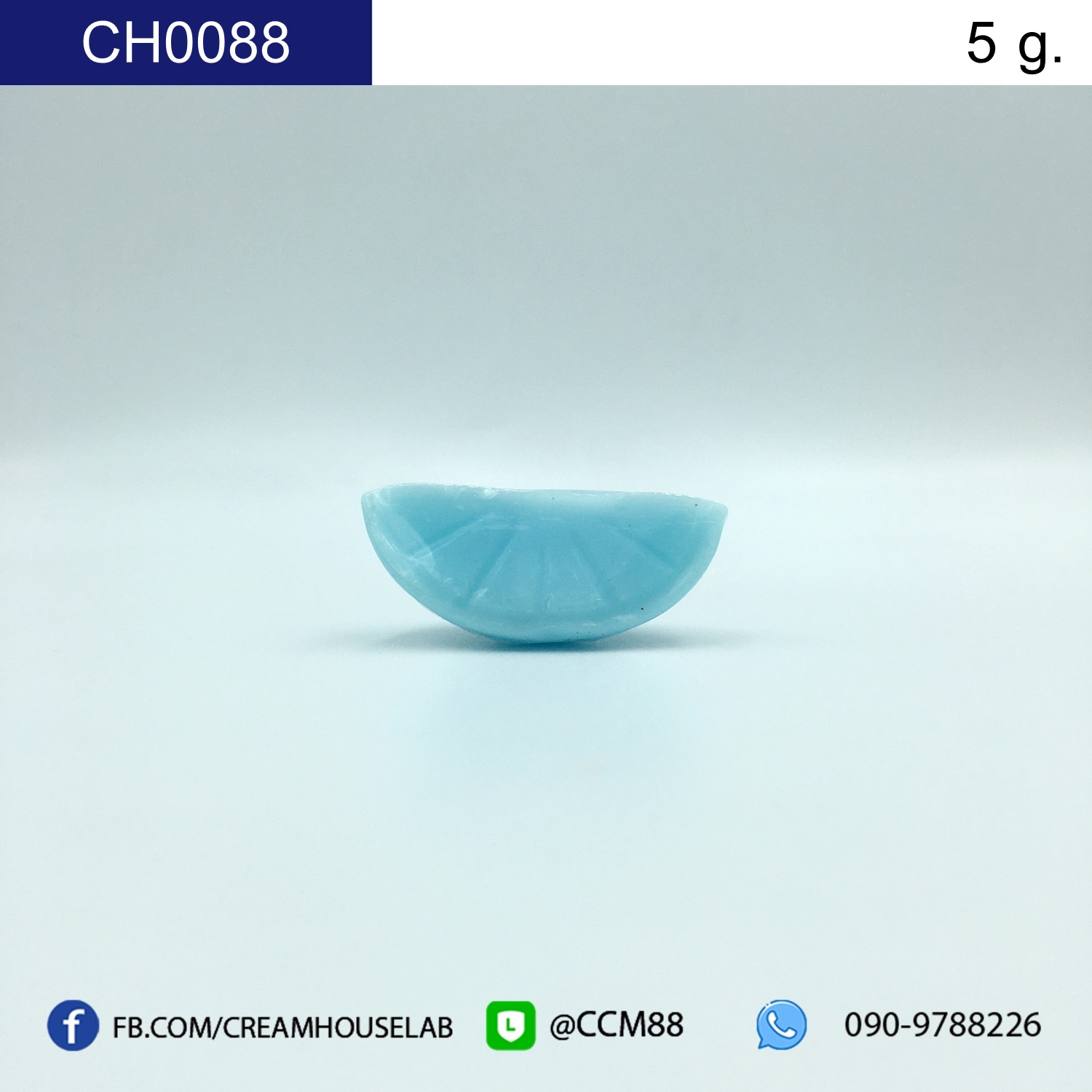 รหัส CH0088
