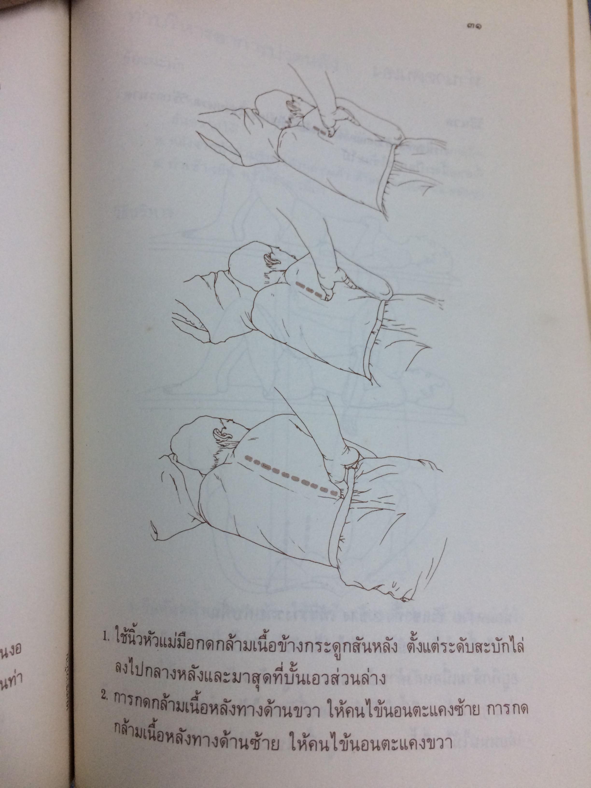 คู่มือการนวดไทย