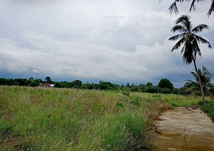 ขายที่ดินเหมาะแก่การทำธุรกิจหรือบ้านจัดสรรใกล้เทศบาล ต.หนองปลาไหลและถนนใหญ่ ชลบุรี-พัทยา ใกล้ชายฝั่งทะเล 7 ไร่ 36 ตรว. อ.บางละมุง จ.ชลบุรี