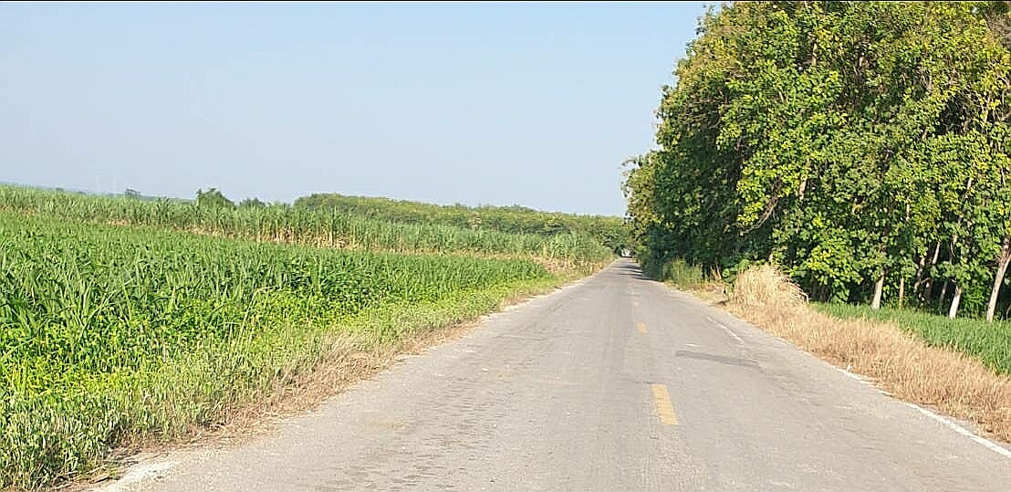 ขายที่ดินสวยราคาถูกอำเภอเมืองนครสวรรค์47ไร่2งาน37 ตารางวาบรรยากาศดีการเดินทางสะดวกสบายไฟฟ้าพร้อมใกล้อบต.พระนอนใกล้ปั้มPTเหมาะทำการเกษตร,บ้านสวน,บ้านพักตากอากาศหรือประกอบธุรกิจอื่นๆ