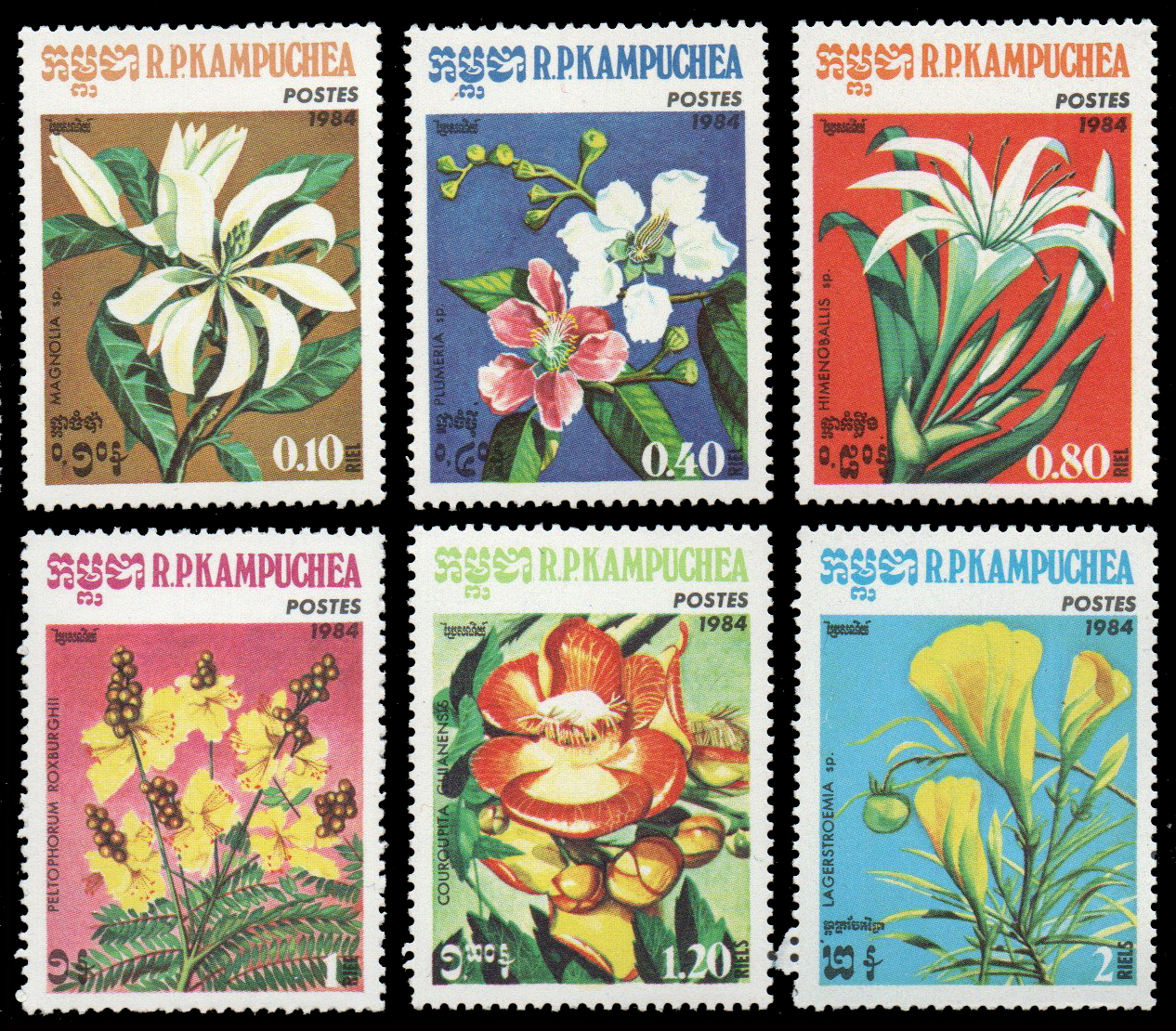1984 Flowers
