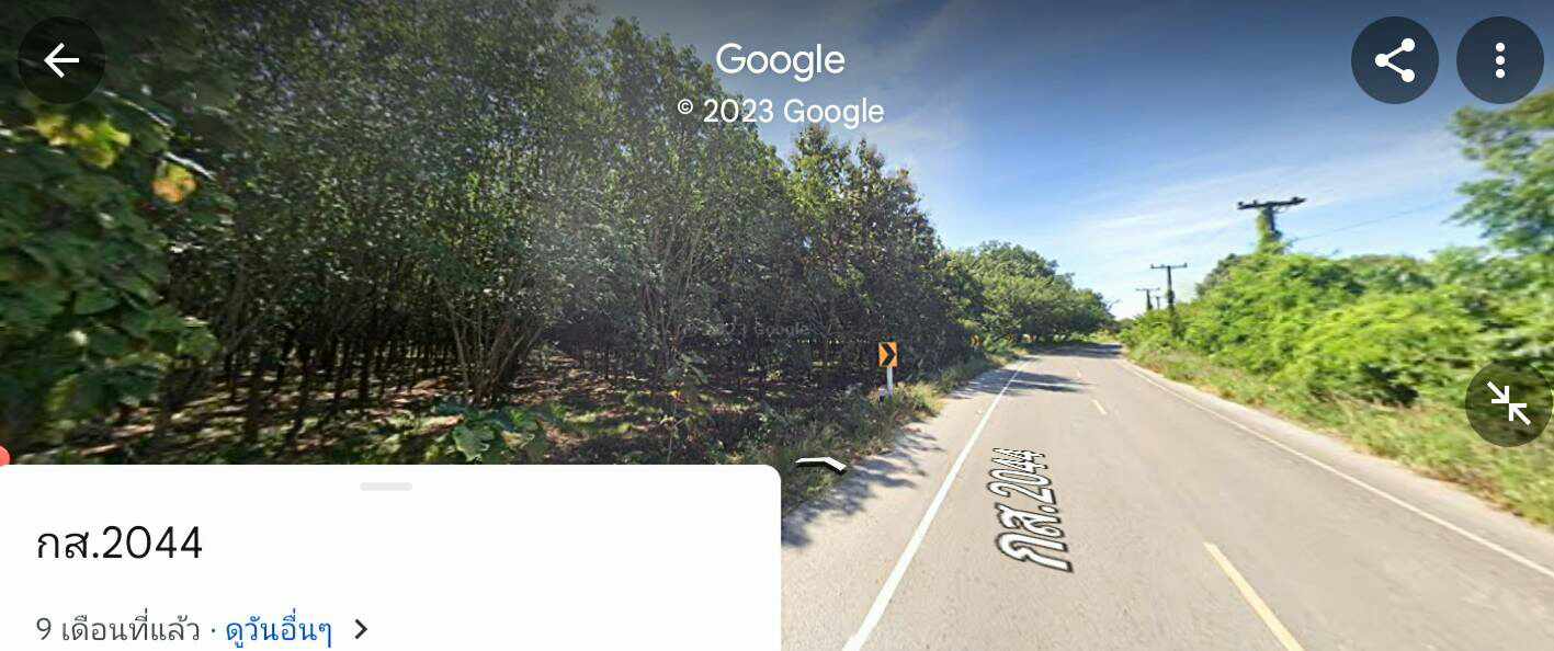 ขายที่ดินสวนยางพาราราคาถูกติดถนนลาดยางใกล้โรงเรียนเชียงเครือวิทยาคมและปตท.เมืองกาฬสินธุ์ เจ้าของขายโดยตรงทำเลดีบรรยากาศดีไฟฟ้าเข้าถึง