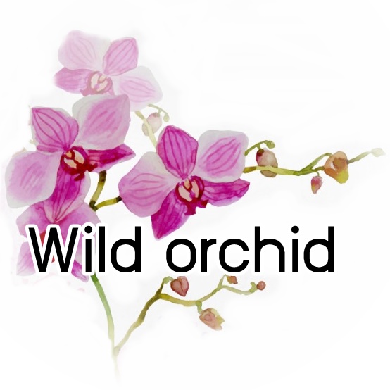 Orchid : Wild Orchid น้ำมันหอม กล้วยไม้ป่า Sweet Floral กลิ่นดอกไม้หรูหราของกล้วยไม้สีม่วงและครีมวานิลลา ละลายในแอกอฮอล์และน้ำมัน