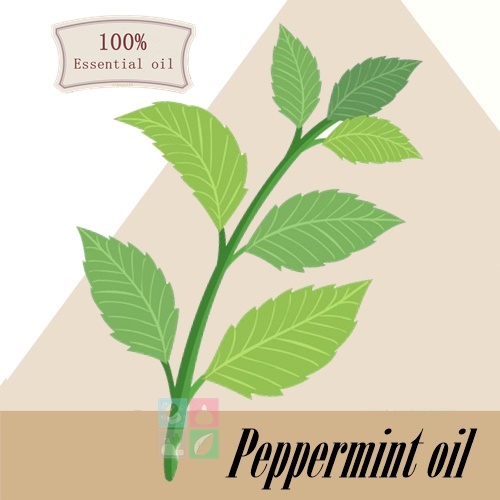 Peppermint oil น้ำมันหอมระเหย เปปเปอร์มินท์ 100 % (Menthol 30-45 %) Refreshing,Cooling and Green เย็นสบาย สดชื่น ละลายในแอกอฮอล์และน้ำมัน COA / SDS