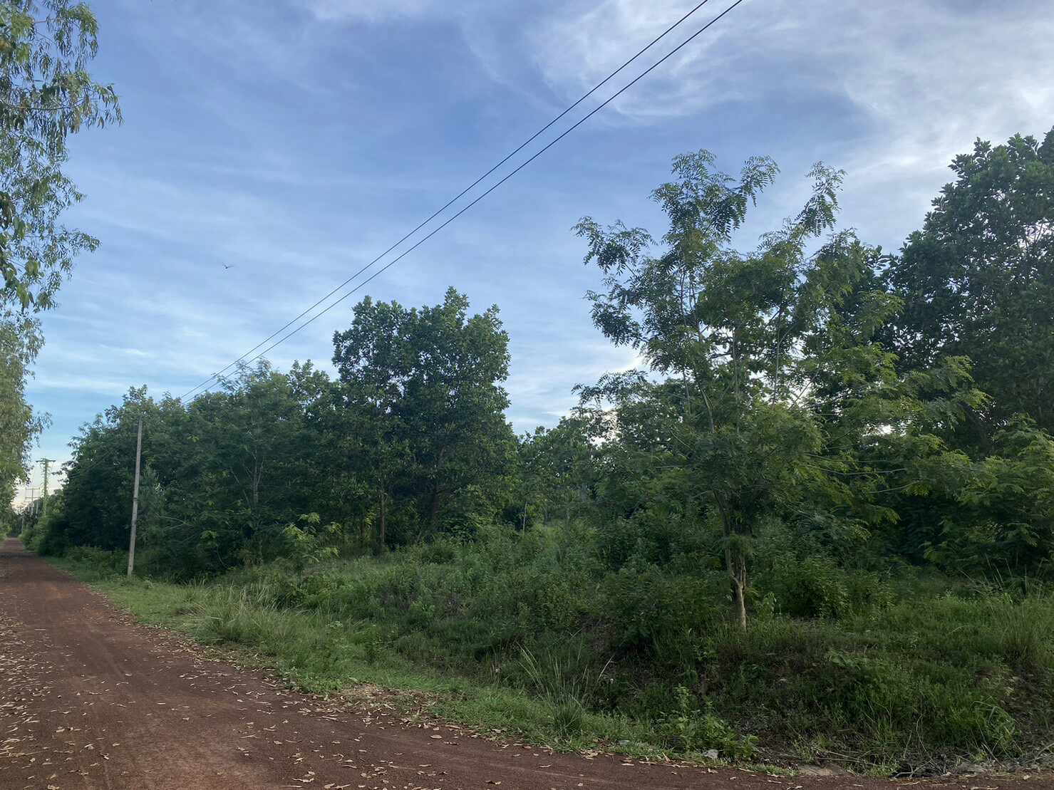 ที่ดินเจ้าของขายเอง อำเภอเมืองสกลนคร ใกล้มหาวิทยาลัยราชภัฏสกลนครเหมาะสร้างบ้าน,รีสอร์ทอพาร์ทเม้นท์บรรยากาศดีการเดินทางสะดวกสบาย