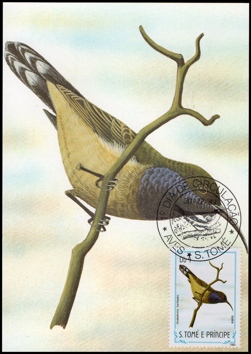 Post Cards S.Tome E Principe Bird 1983
