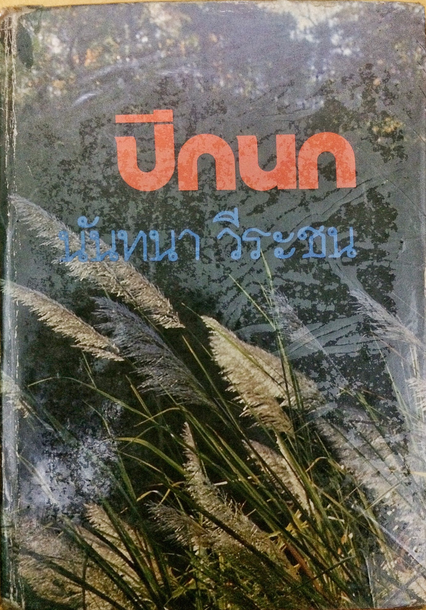 ปีกนก (เล่มเดียวจบ)