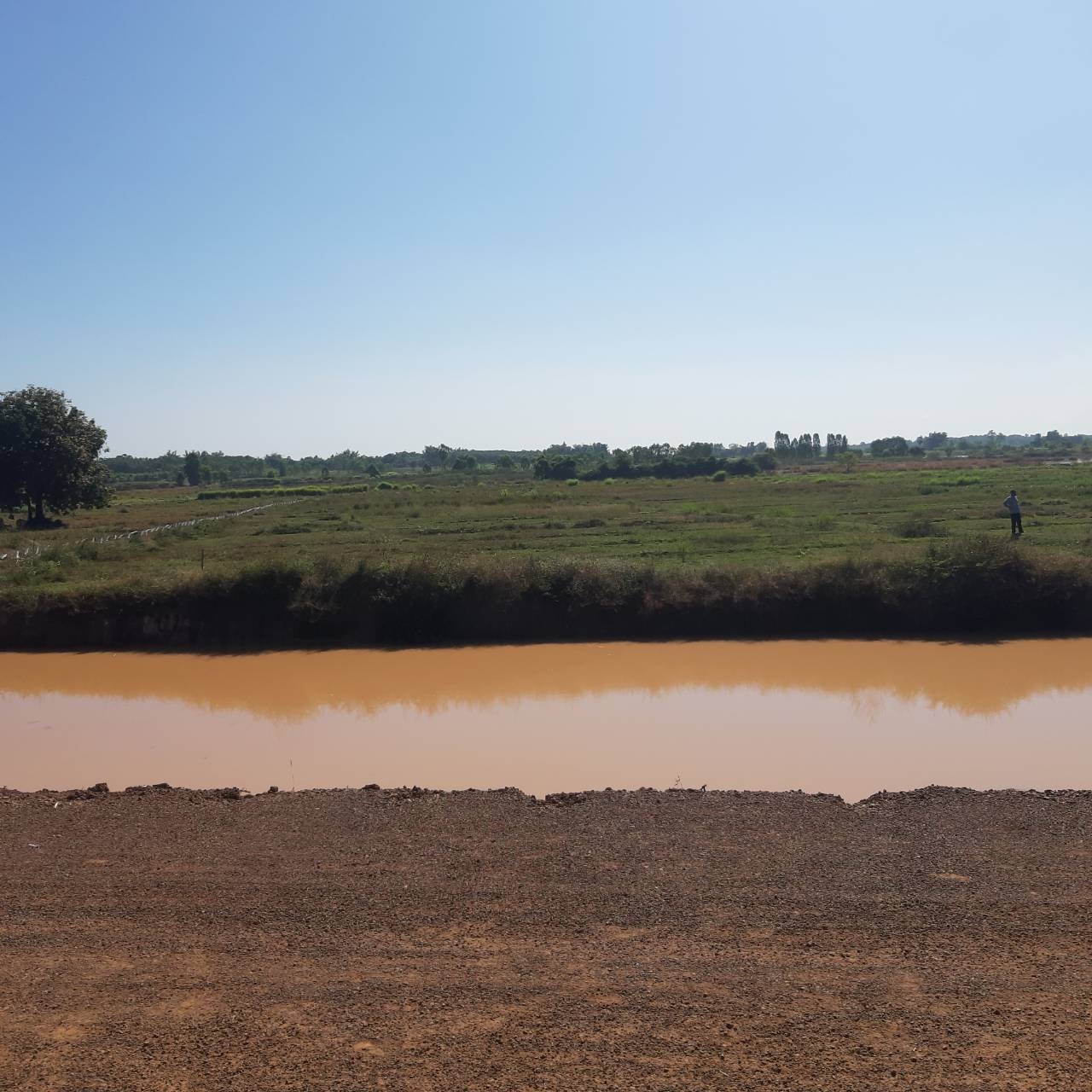ขายที่ดินสวยบรรยากาศดีการเดินทางสะดวกสบายอำเภอเมืองหนองคาย พื้นที่ติดกัน 3 แปลงรวม26 ไร่ 3 งาน 1 ตรว. ใกล้เขตเทศบาลเมืองหนองคายเหมาะแก่การทำบ้านสวน รีสอร์ท