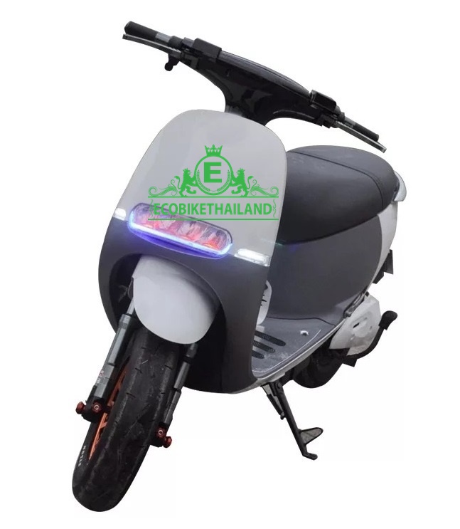 รถมอเตอร์ไซค์ 1000 วัตต์