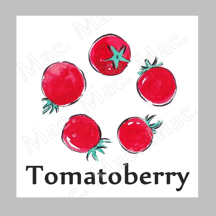 TOMATOBERRYหัวน้ำหอม มะเขือเทศสตอเบอรี่