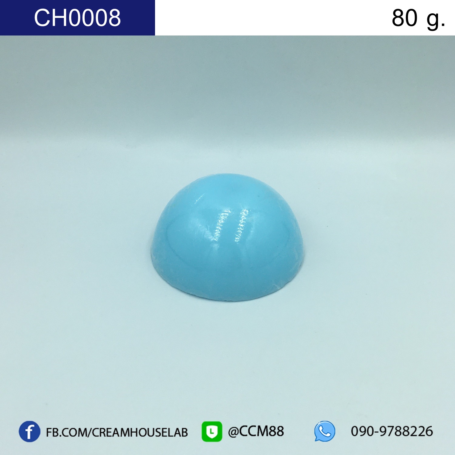 รหัส CH0008