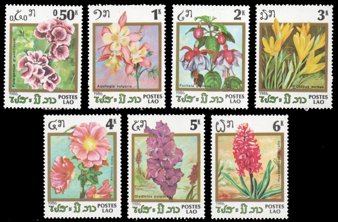 1986 Flowers