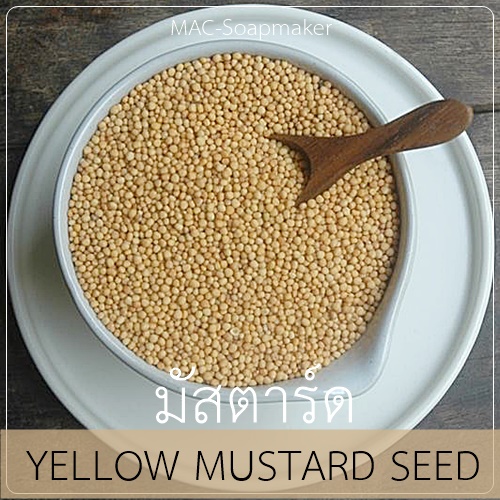 YELLOW MUSTARD SEED มัสตาร์ด