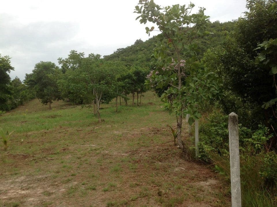 ขายที่ดินใกล้ชายฝั่งทะเลราคาถูกอ.เมืองชุมพรใกล้ตะวันฉายรีสอร์ท185เมตรห่างจากสถานีเพาะเลี้ยงสัตว์นํ้าชายฝั่ง 1.38กม.บรรยากาศดีเดินทางสะดวก