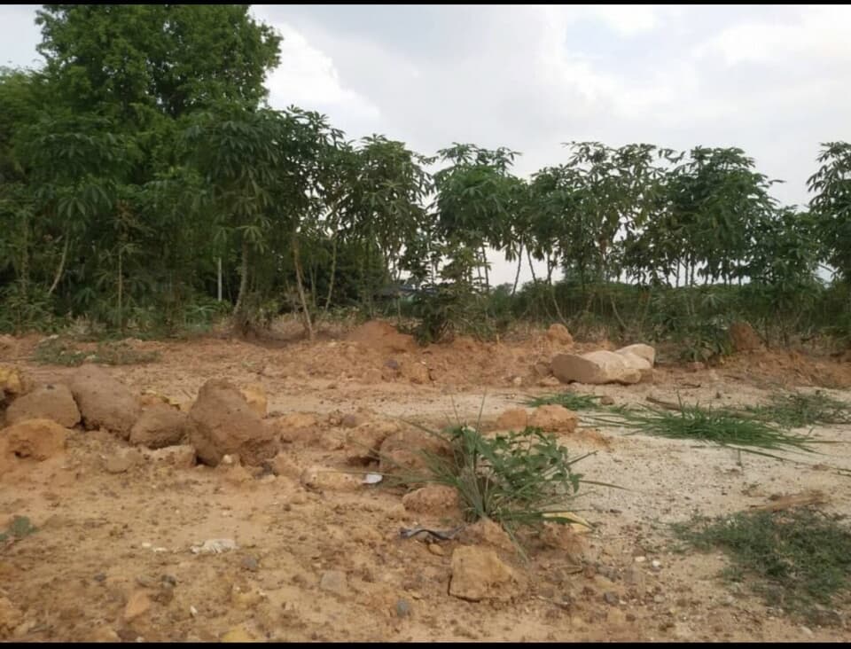 ที่ดินราคาถูกติดถนนใหญ่กบินทร์บุรี-ปักธงชัย หมายเลข(304)ติดสถานีตรวจสอบนํ้าหนักวังนํ้าเขียวขาเข้า2ไร่73ตรว.เหมาะทำธุรกิจเดินทางสะดวกจ.นครราชสีมา