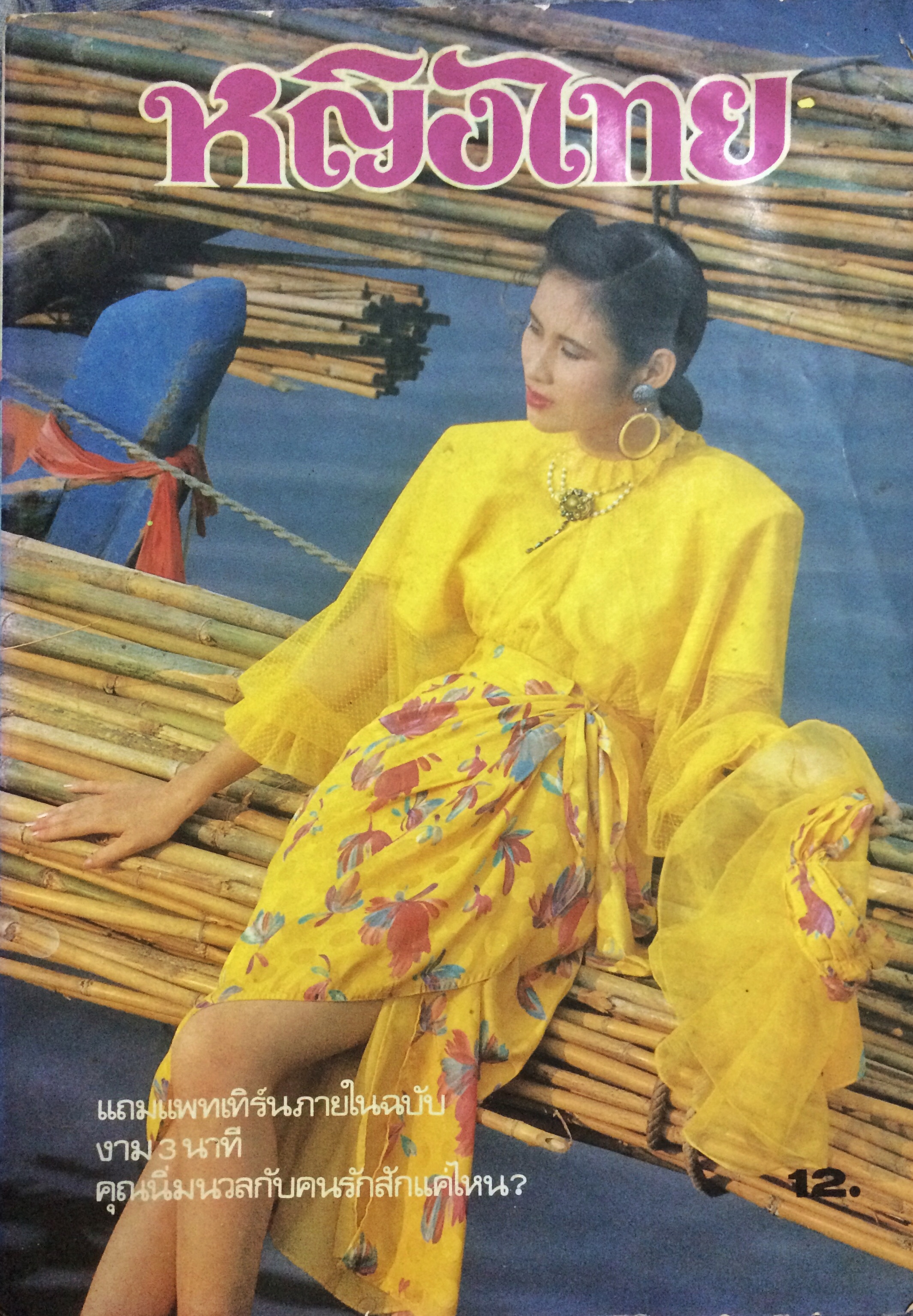 หญิงไทย ปีที่ 11 ฉบับที่ 254 ปักษ์แรก พฤษภาคม 2529 (นพวรรณ วรรณโสภา)