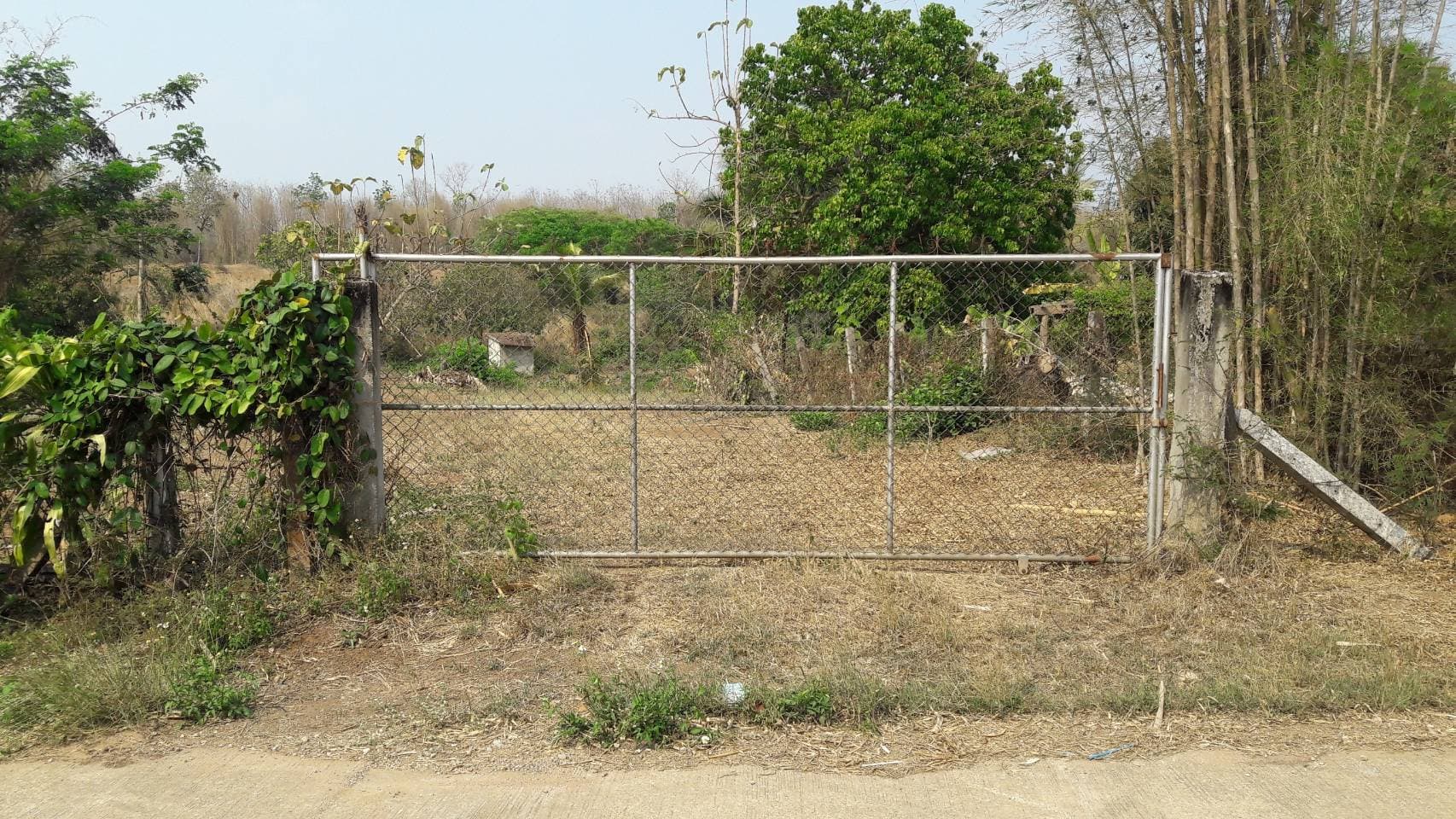 ด่วนขายที่ดินพร้อมบ้านสวนราคาถูกที่สุดมีประปาพร้อมใช้งานเนื้อที่ิ 5 ไร่ 2 งาน 69 ตรว. บ้านนาฟาน ต.ดอนไฟ อ.แม่ทะ จ.ลำปาง