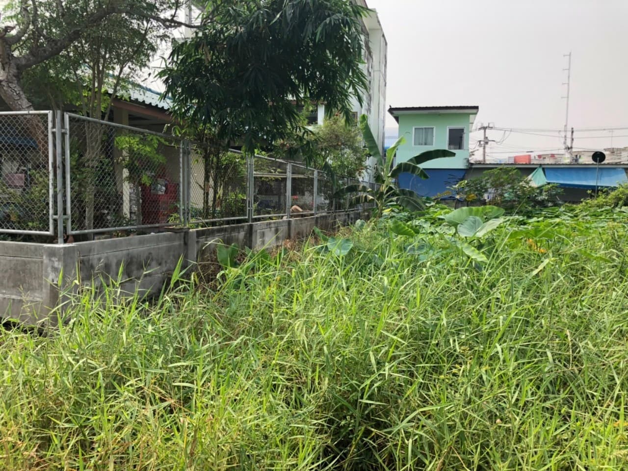 ขายที่ดินราคาถูกกลางเมืองอุทัยธานีห่างจากสถานีขนส่งผู้โดยสารอุทัยธานี 285 เมตร