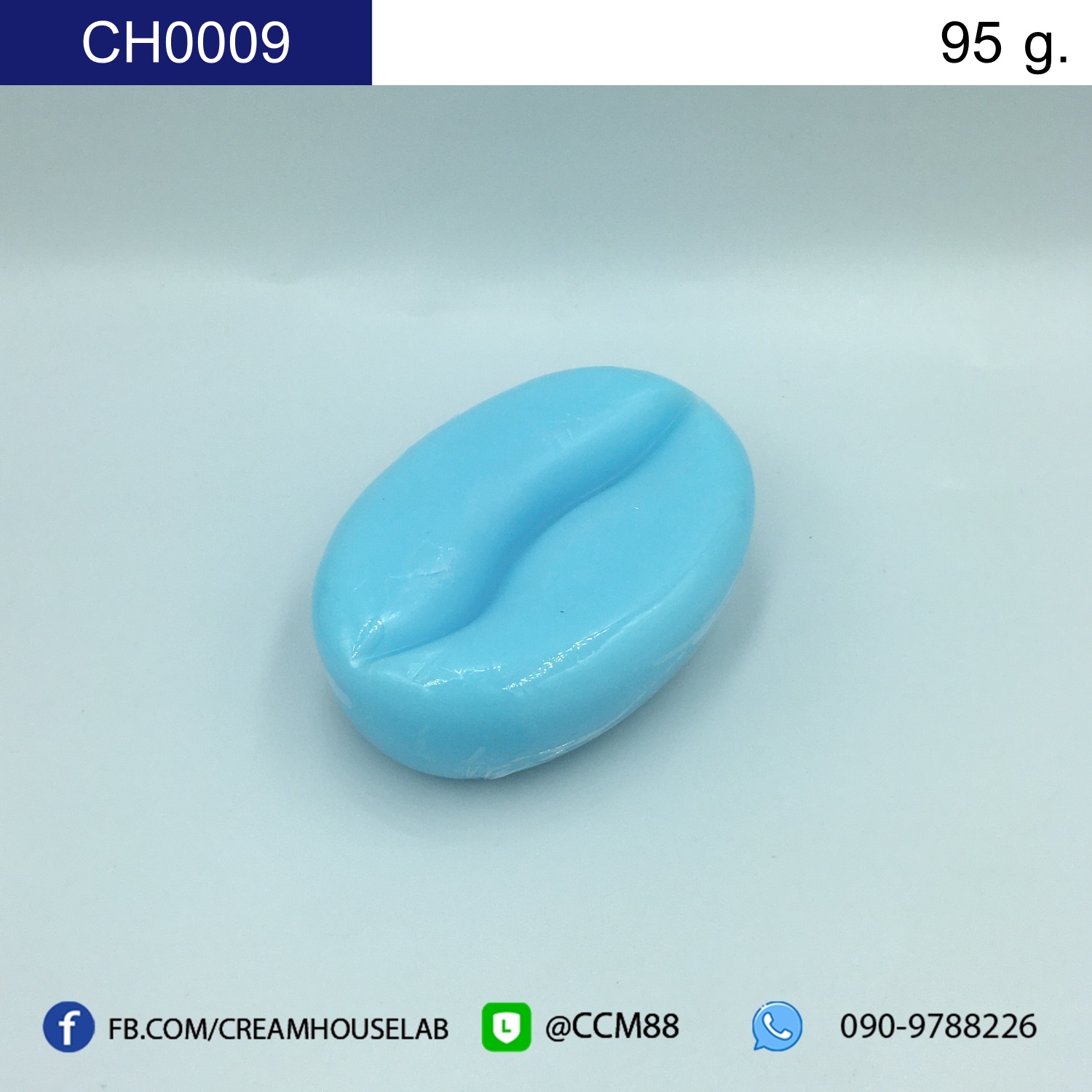 รหัส CH0009