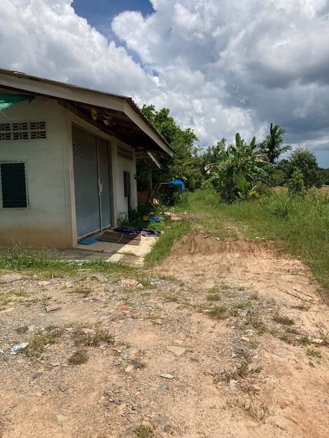 ขายสวนผลไม้ เงาะ มังคุด ทุเรียน ลองกอง ราคาถูก พร้อมบ้านพัก นํ้าไฟเข้าถึง ทางเข้าออกสะดวกสบายบรรยากาศดีเจ้าของขายเอง อำเภอมะขาม จังหวัดจันทบุรี