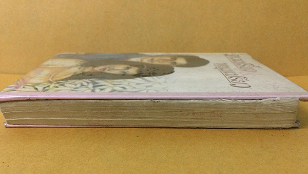 สาวเปรี้ยวกับหนุ่มเปรี้ยว (เล่มเดียวจบ)