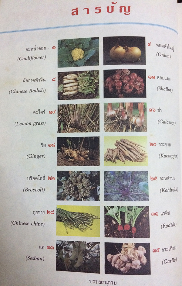 การปลูกผักกินใบ