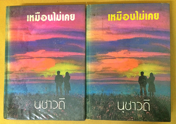 เหมือนไม่เคย (1-2เล่มจบ)
