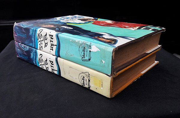 ระเริงชล (เล่ม 1-2 จบ)