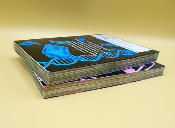 บัตรมรณะ Psycho Bank