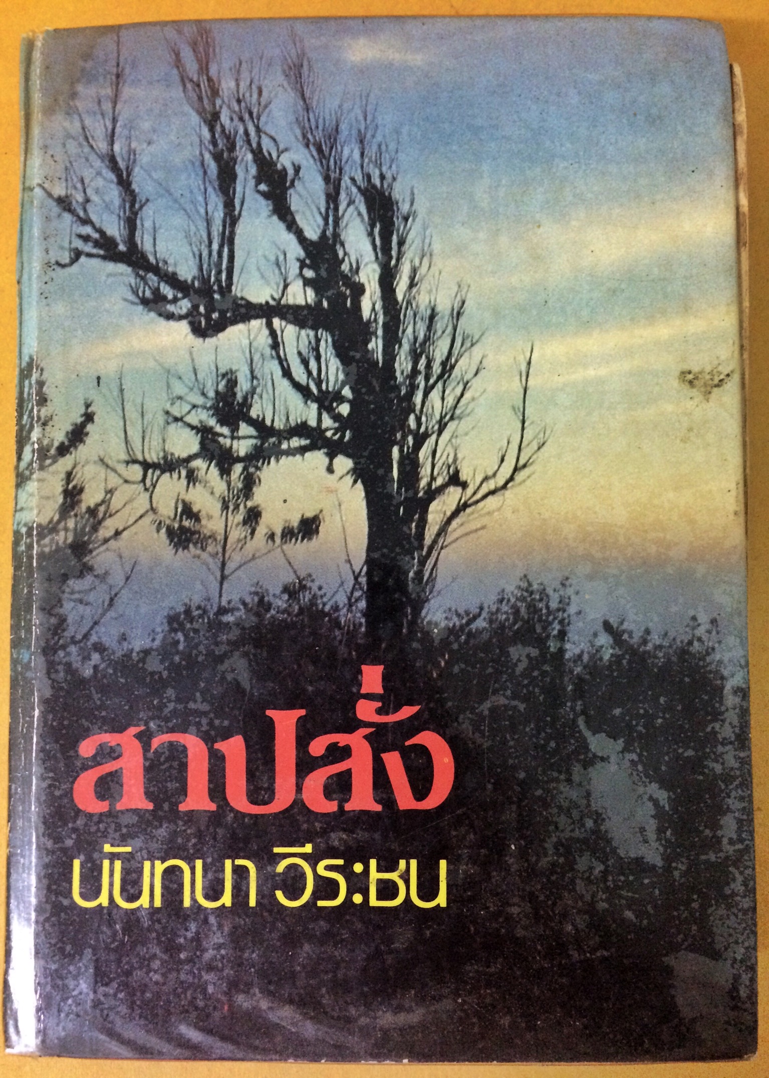 สาปสั่ง (เล่มเดียวจบ)
