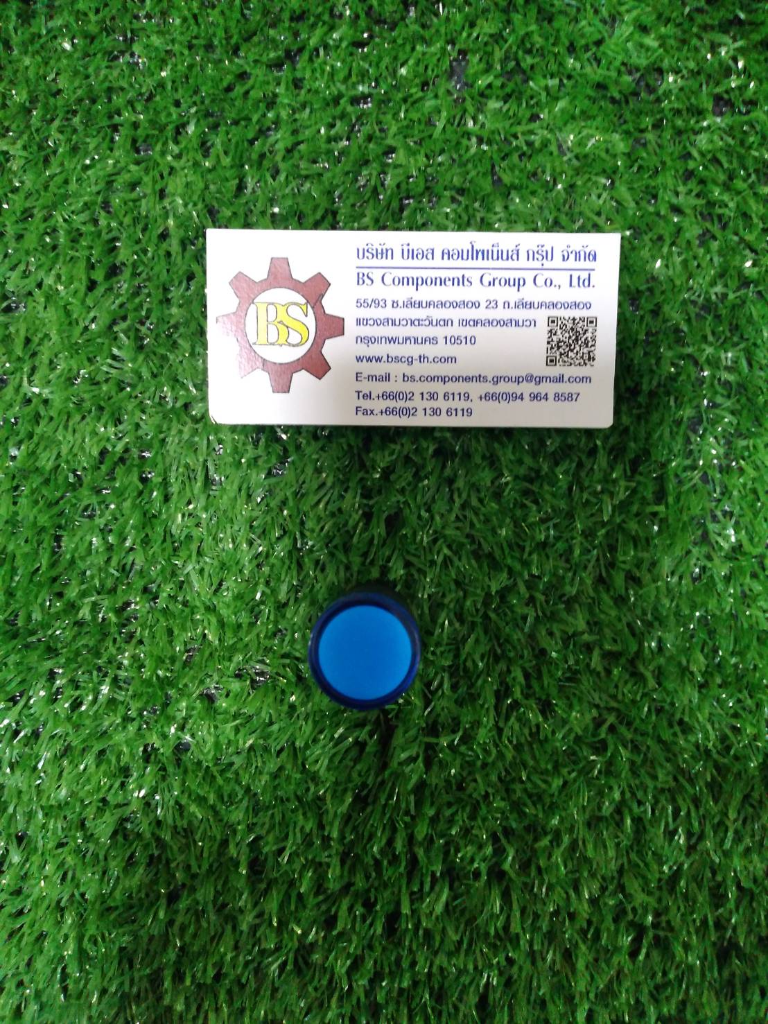 SHINOHAWA : LED Lamp 16mm. Blue 24VDC