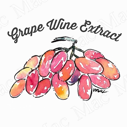 GRAPE WINE EXTRACT สารสกัดองุ่น