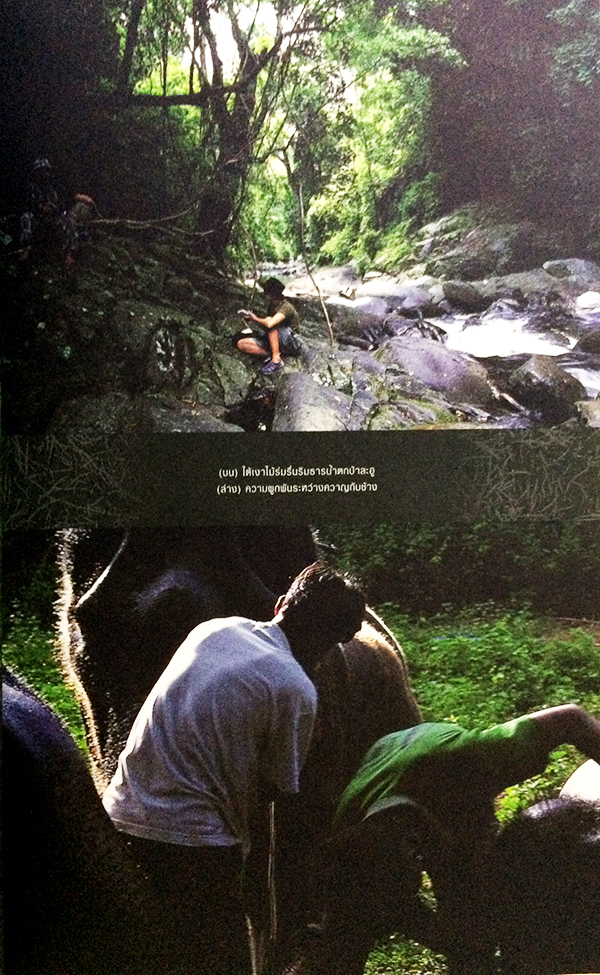 รอยเท้าบนภูเขา