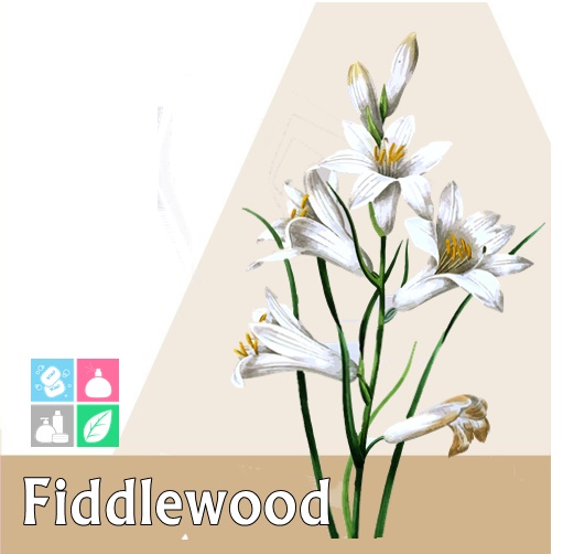 Fiddlewood : BU-NGASARI / น้ำมันหอม บุหงาสาหรี่ Flower powdery ละลายได้ในน้ำมัน