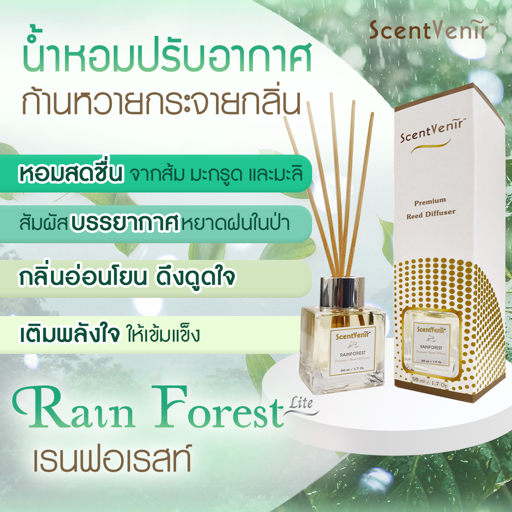 RAINFOREST Scent Diffuser (Lite) น้ำหอมกระจายกลิ่น น้ำหอมปรับอากาศ ก้านไม้หอม กลิ่น เรนฟอเรสท์ สัมผัสกับกลิ่นของสายฝนในป่าเขียว หอมสดชื่น ชุ่มชื้น อโรม่า หอมละมุน แบบเบาๆ สูตรเฉพาะพิเศษด้วยน้ำมันหอมระเหยแท้ผสมกับหัวน้ำหอมเกรดสูง ขนาด 50ml ใช้นาน 1-2 เดือน