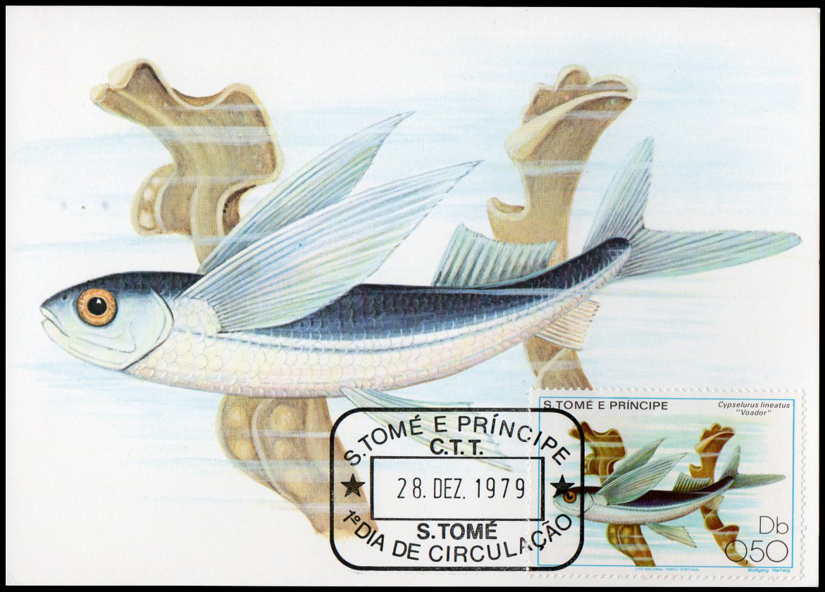 Post Card S.Tome E Principe Fish 1979