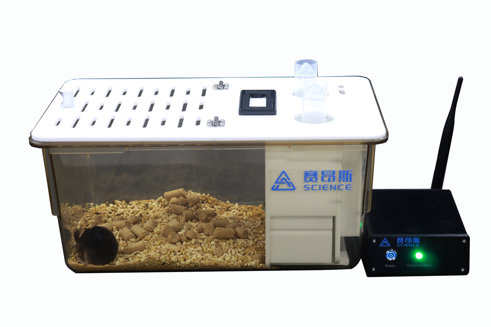 Sucrose Preference Test (SPT)