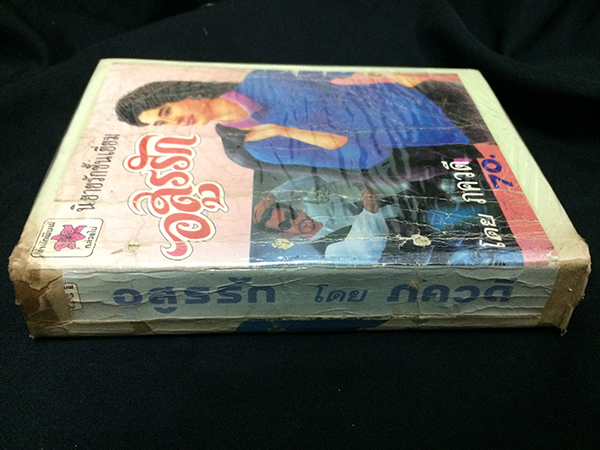 อสูรรัก (เล่มเดียวจบ)