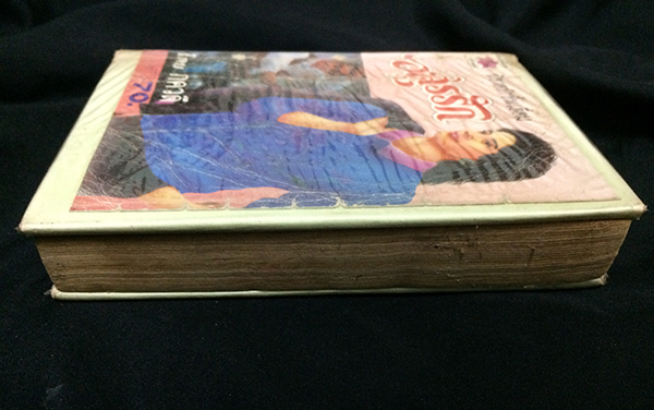 อสูรรัก (เล่มเดียวจบ)