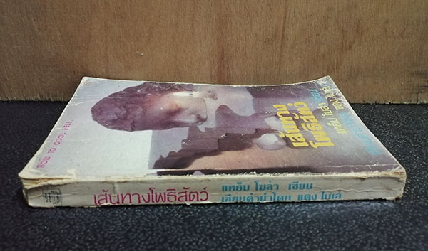 เส้นทางโพธิสัตว์ (เขียนคำนำโดย แดง ไบเล่)