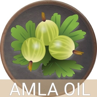 AMLA EXTRACT OIL น้ำมันอามลา