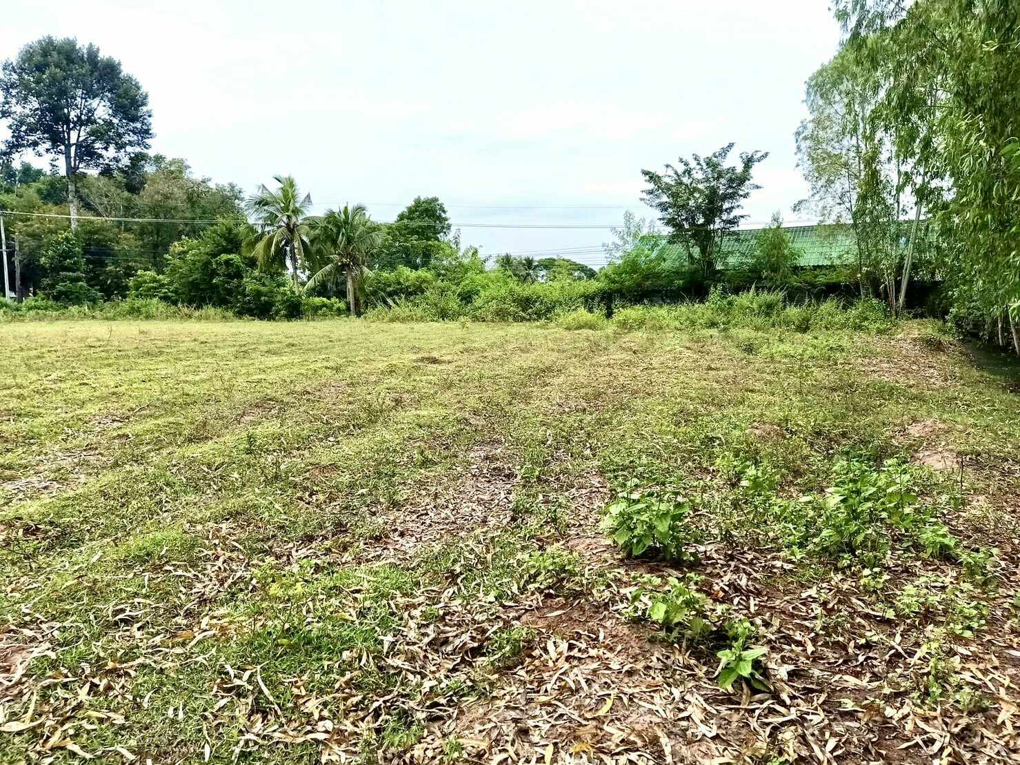 📢💥ที่ดินราคาถูกติดถนนลาดยางงานละ325,000บาทใกล้ตลาดสดซำสูงจ.ขอนแก่นใกล้โรงเรียนเหมาะสร้างบ้านอยู่อาศัยหรือทำธุรกิจสนใจติดต่อเจ้าของตามเบอร์ท้ายประกาศ📢💥