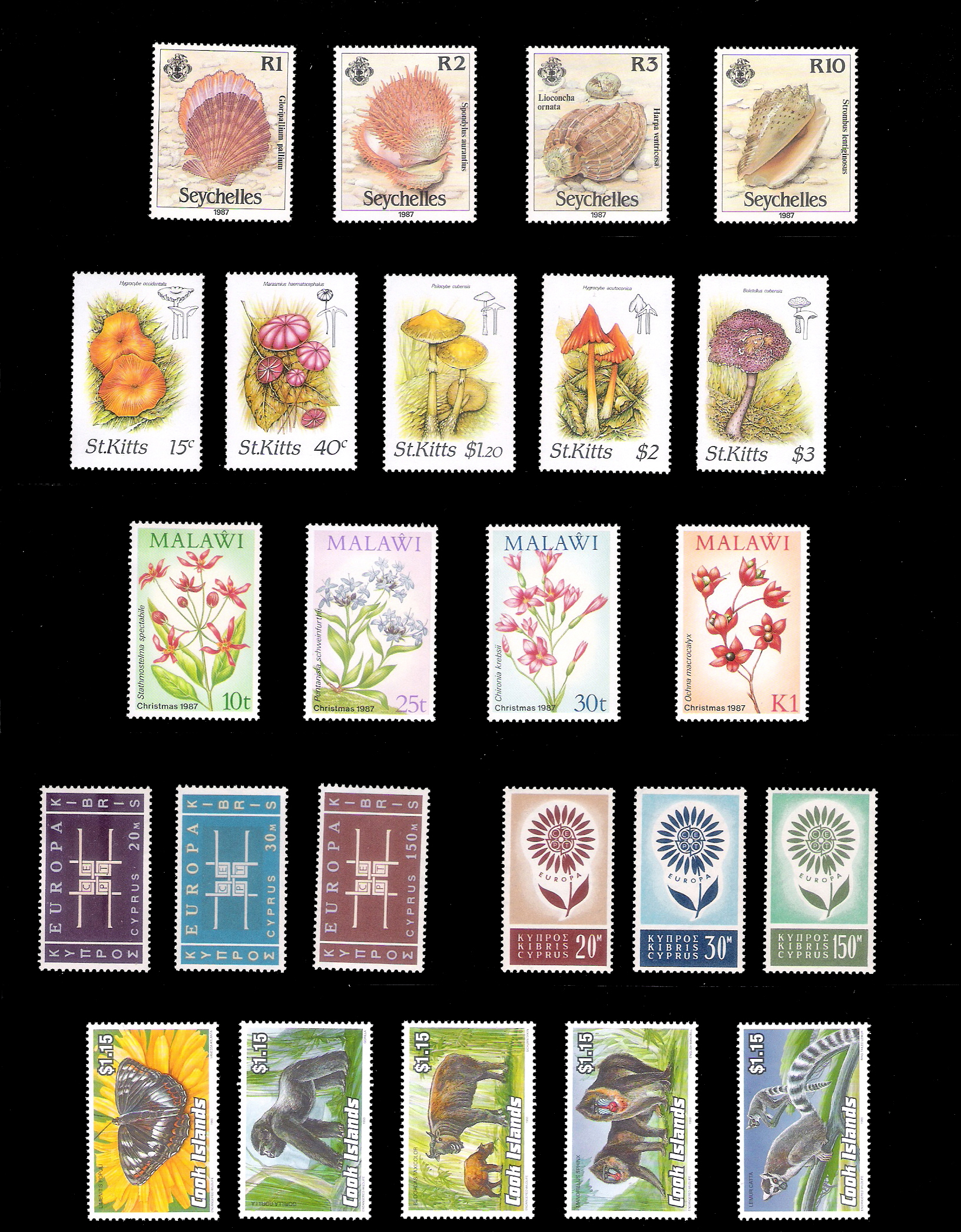 Lot of 6 SETS
