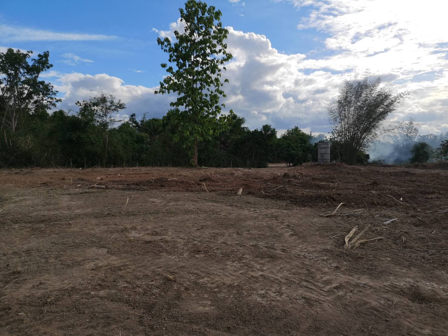 ด่วนขายที่ดินพร้อมบ้านสวนราคาถูกที่สุดมีประปาพร้อมใช้งานเนื้อที่ิ 5 ไร่ 2 งาน 69 ตรว. บ้านนาฟาน ต.ดอนไฟ อ.แม่ทะ จ.ลำปาง