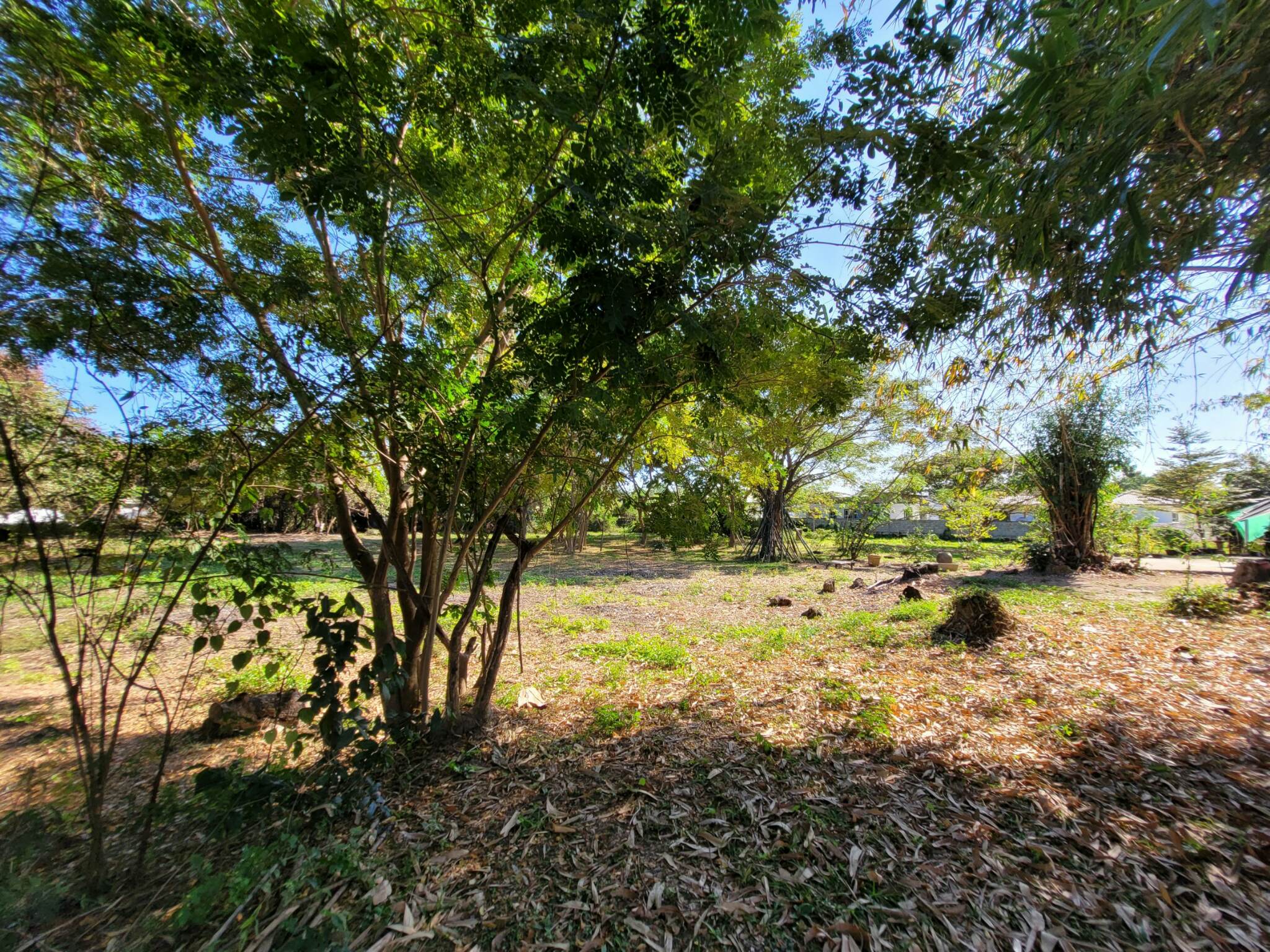 ขายที่ดินราคาถูก อ.เมืองลำปาง เจ้าของขายโดยตรง ใกล้โกบอลเฮ้าส์และเซเว่นสาขาปงแสนทองที่ดินสวยเหมาะทำธุรกิจบรรยากาศดีแบ่งขาย 3 ไร่ ติดต่อเจ้าของที่ 081-9525175 คุณอำนวย