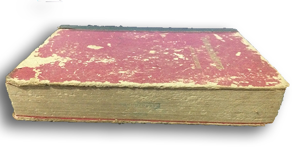 ไฟหนุ่มไฟสาว (เล่มเดียวจบ)