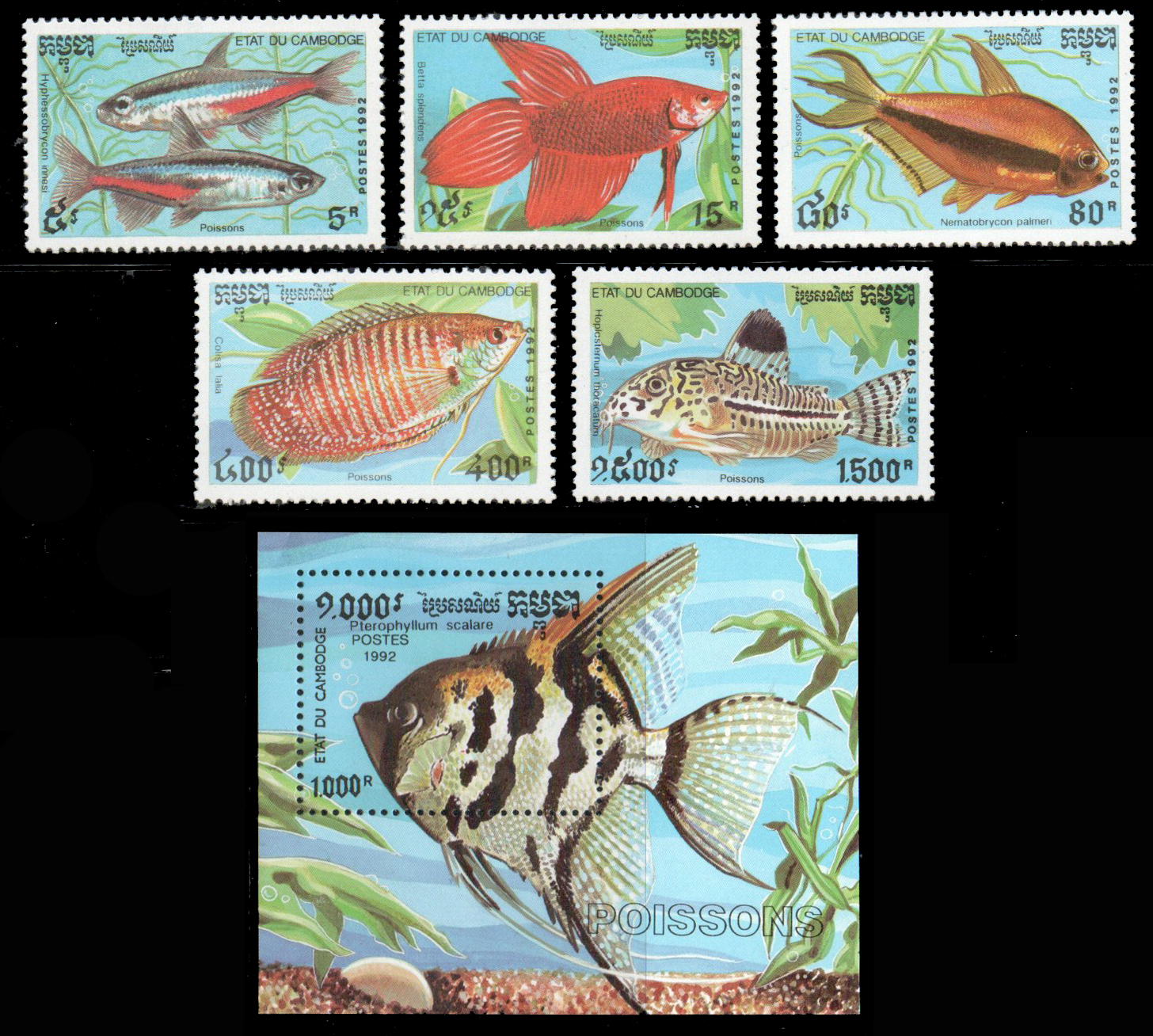1992 Aquarium Fish