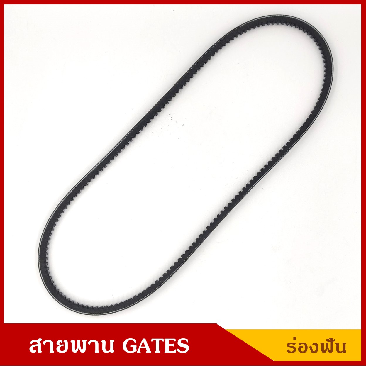 GATES สายพาน V13x1090 (13 x 1090 La) สายพานหน้าเครื่อง ร่องฟัน MAZDA FIGHTER , BT50 , FORD RANGER ราคา เส้นละ