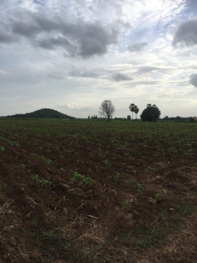 ขายที่ดินสวยราคาถูกที่สุด ห่างจากทุ่งดินดำรีสอร์ท 1.78กม.บรรยากาศดีทิวเขาสวยเหมาะทำการเกษตรอยู่อาศัยอ.อู่ทองจ.สุพรรณบุรี